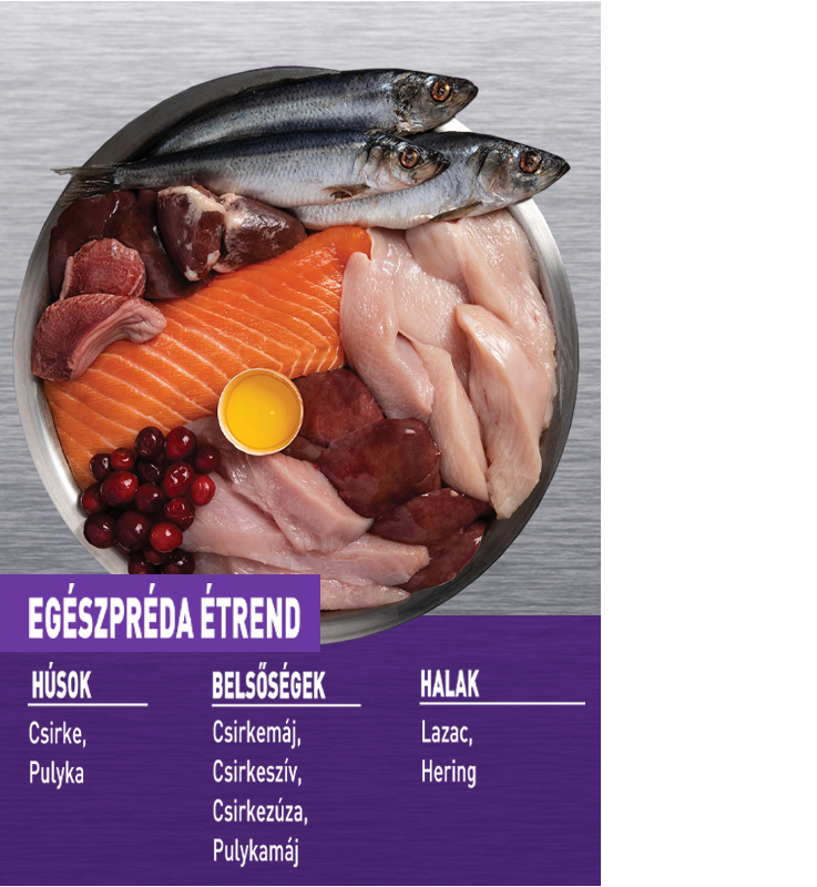 ORIJEN Large Breed Adult – 3. kép
