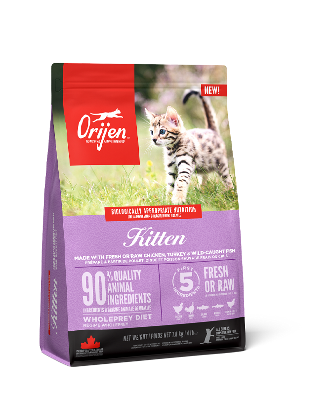 ORIJEN Kitten
