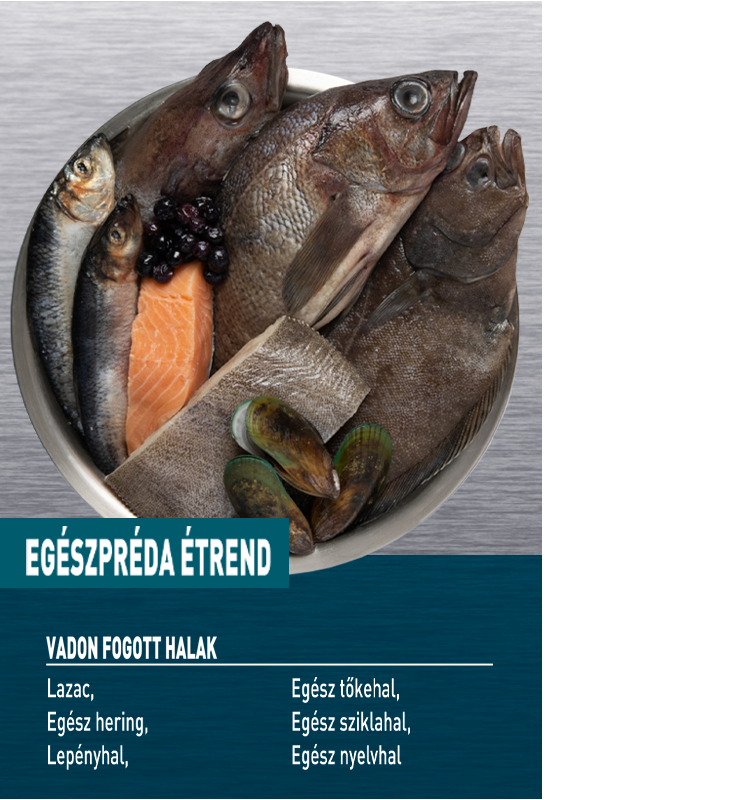 ORIJEN Small Breed Marine Fish – 3. kép