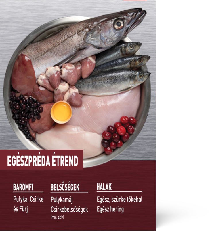 ORIJEN Small Breed – 3. kép