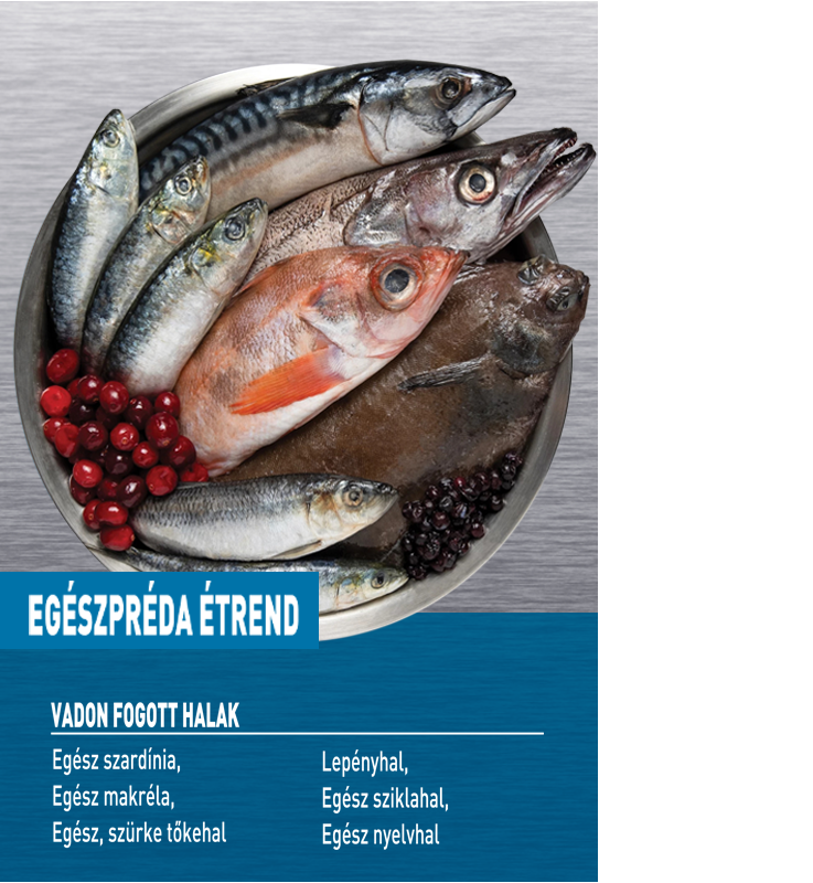 ORIJEN Six Fish – 3. kép