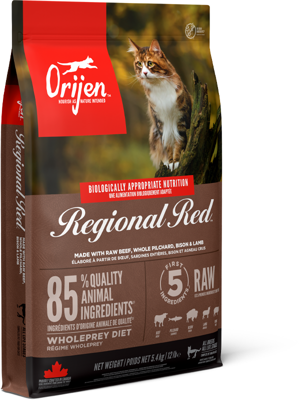 ORIJEN Regional Red Cat