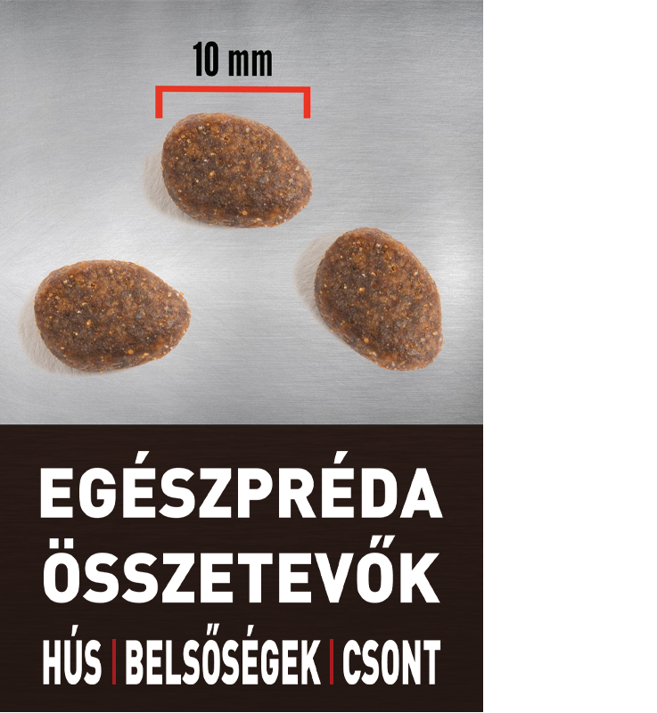 ORIJEN Regional Red Cat – 4. kép